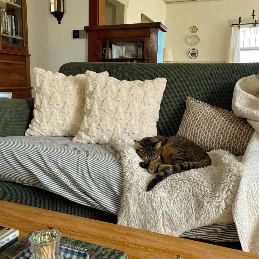 cat sleeping on a sofa wirh christmas cushion cover